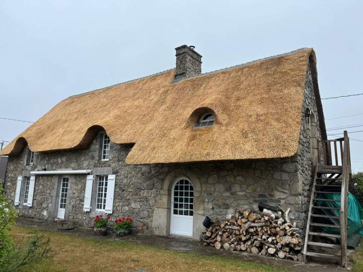 Démoussage efficace pour toiture saine