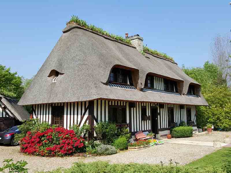Démoussage Normandie