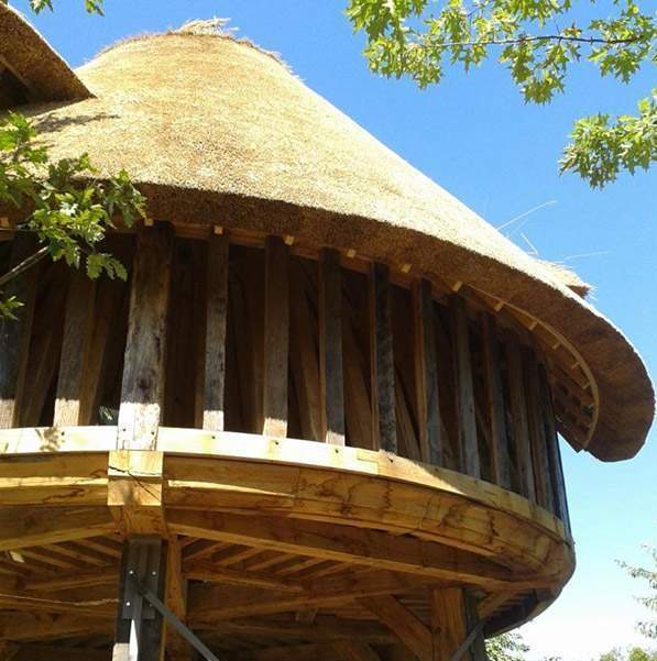 Demeure au toit de chaume Normandie