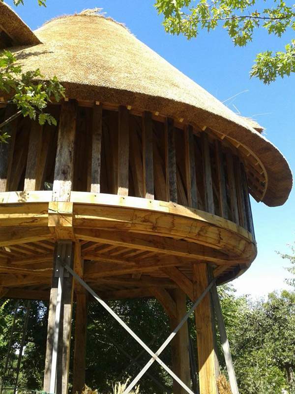 Cabane perchée en bois avec toit de chaume conique Normandie